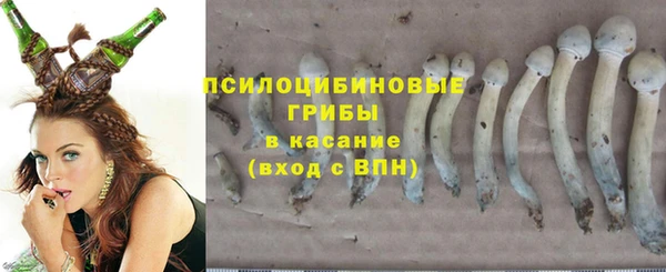 мескалин Аркадак