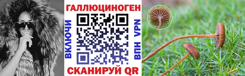 Псилоцибиновые грибы MAGIC MUSHROOMS  Старый Крым 